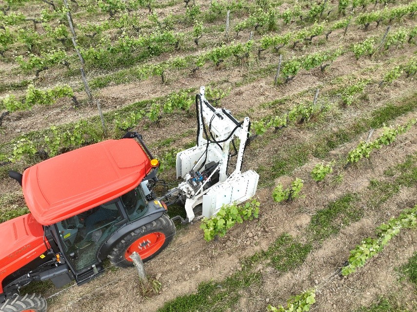 UV Boosting - 2 panels implement for vineyards